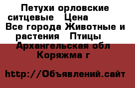 Петухи орловские ситцевые › Цена ­ 1 000 - Все города Животные и растения » Птицы   . Архангельская обл.,Коряжма г.